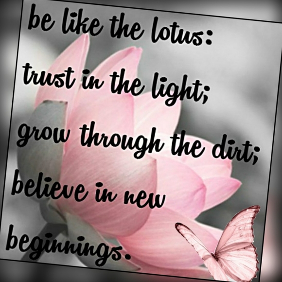 🥳🥳 We Did It!!!! 🥳🥳 Thank You ALL So Much ♡♥︎♡ - Picture 4 of 7